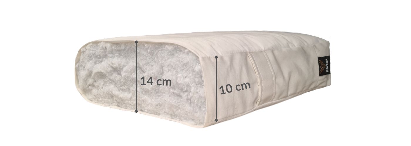 Pascall Futon Junior Natural - przekrój materaca