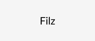 Filzstoff