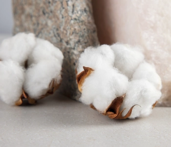 Nachhaltige Materialien in der Möbelproduktion – Trends und Zukunft